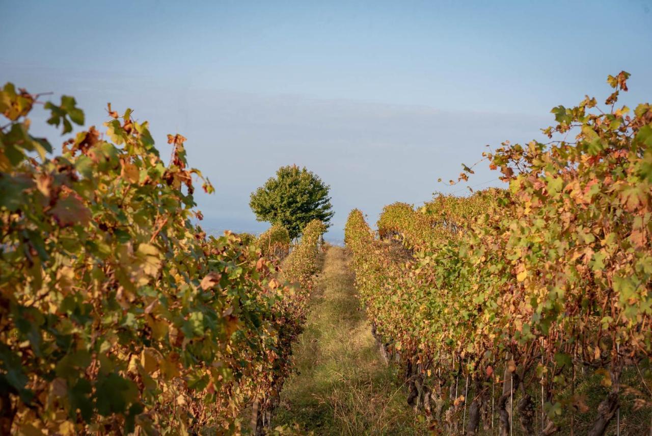 Agriturismo San Martino Clavesana المظهر الخارجي الصورة