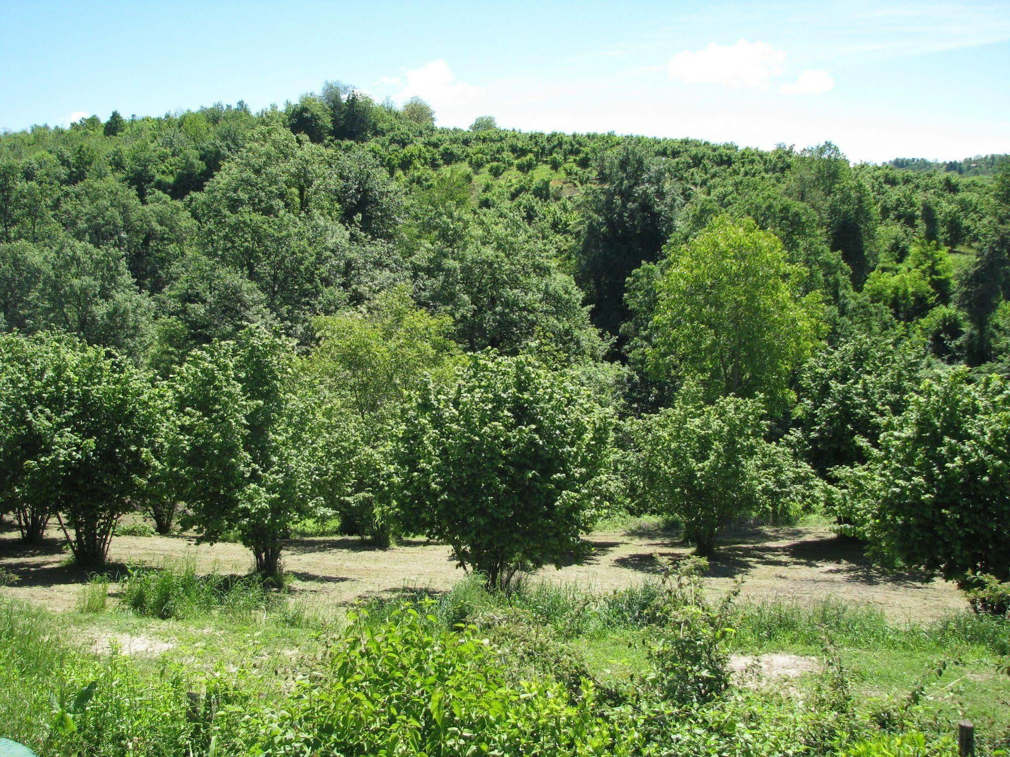 Agriturismo San Martino Clavesana المظهر الخارجي الصورة